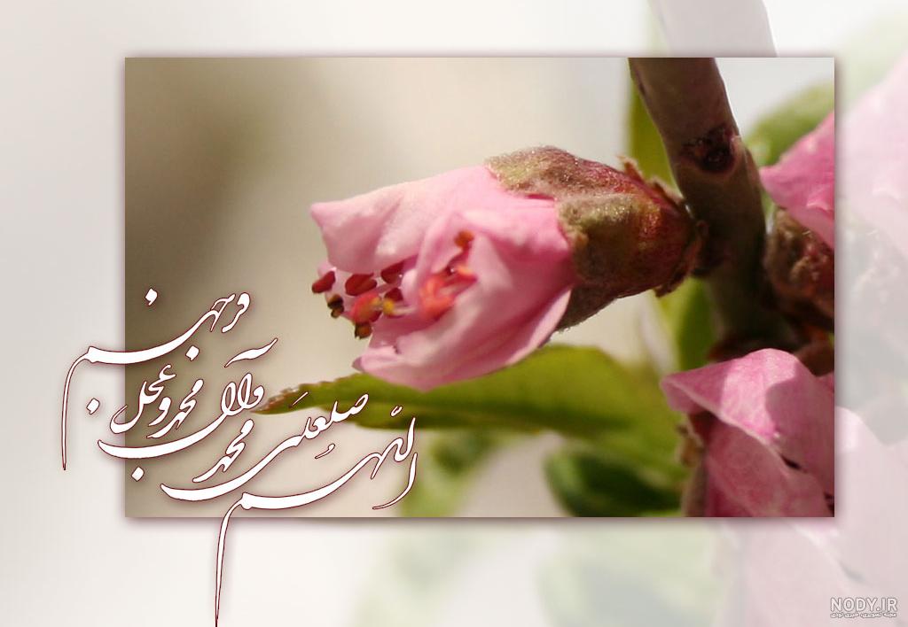 گالری عکس صلوات گالری عکس صلوات