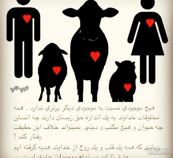 تفاوت قلب انسان و حیوان تفاوت قلب انسان و حیوان