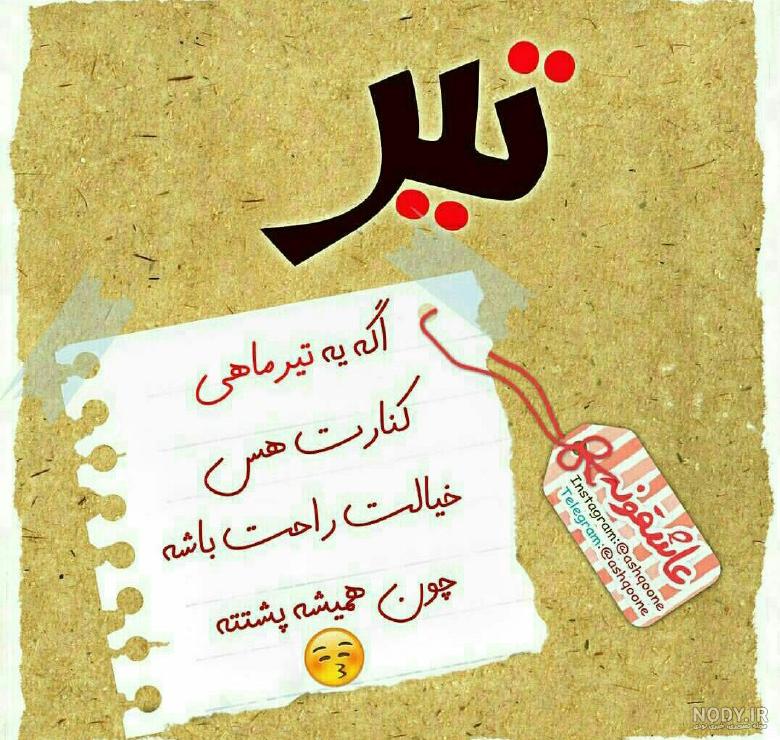 کلیپ تیر ماهی مجتبی شفیعی کلیپ تیر ماهی مجتبی شفیعی