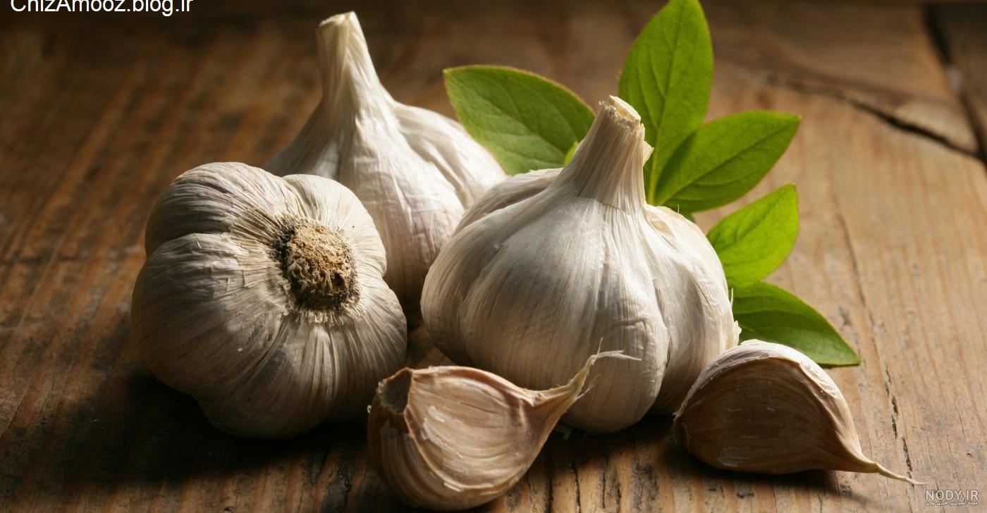 تنگ ماهی سفره هفت سین تنگ ماهی سفره هفت سین