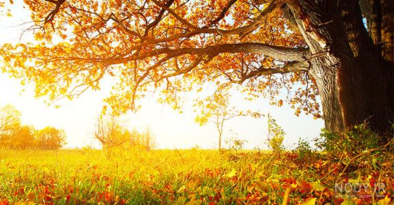 جاذبه طبیعی ایران جاذبه طبیعی ایران