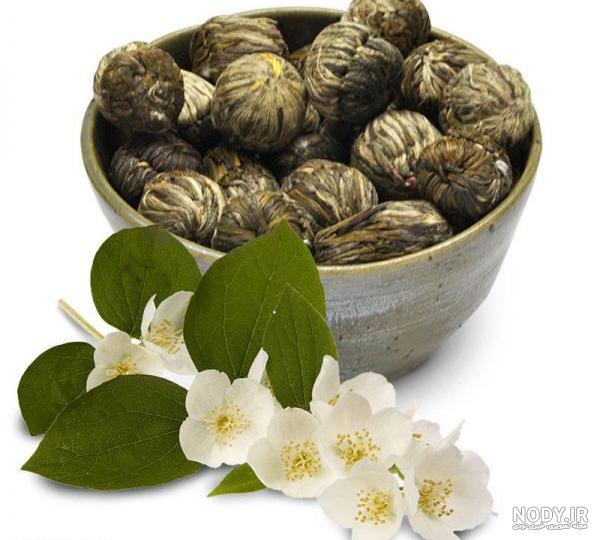 خرید گل یاس بنفش خرید گل یاس بنفش