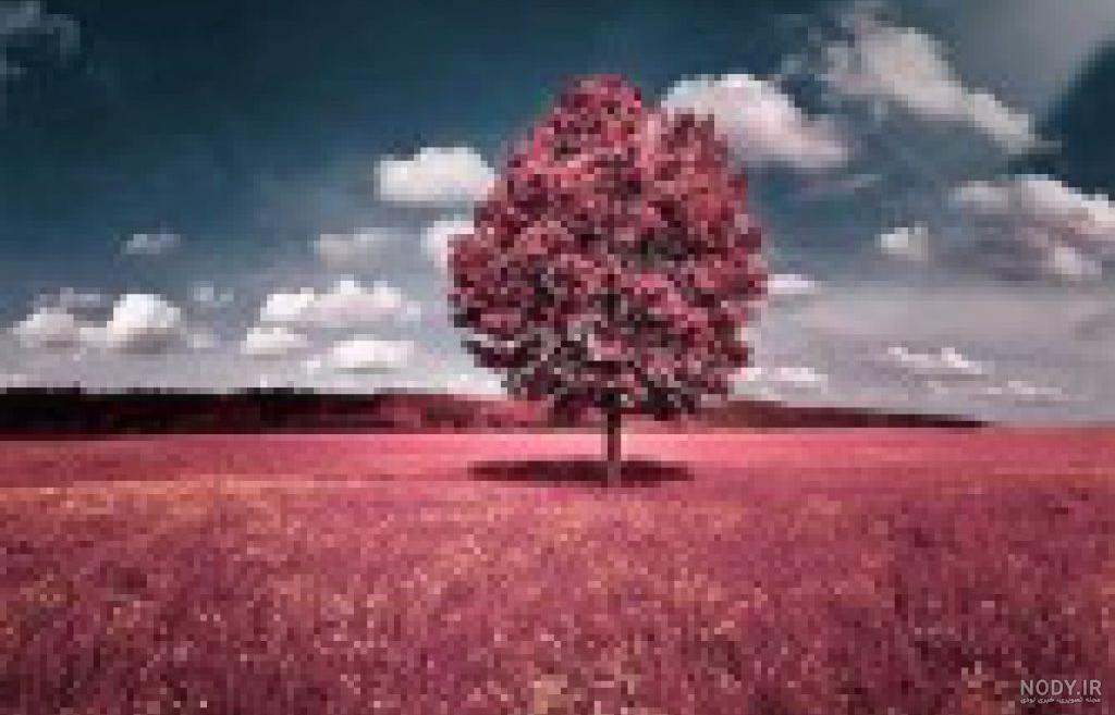 دانلود عکس طبیعت
