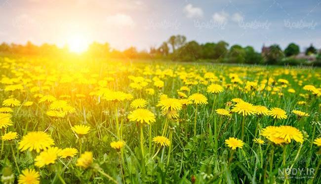 زیباترین عکسهای طبیعت برای پروفایل زیباترین عکسهای طبیعت برای پروفایل