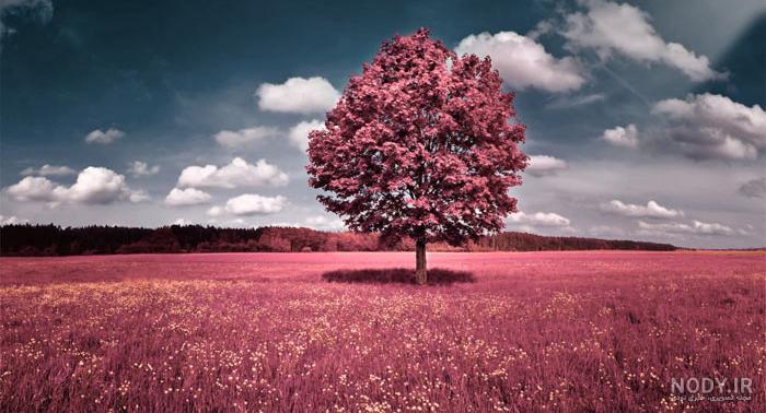عکس رویایی برای پروفایل