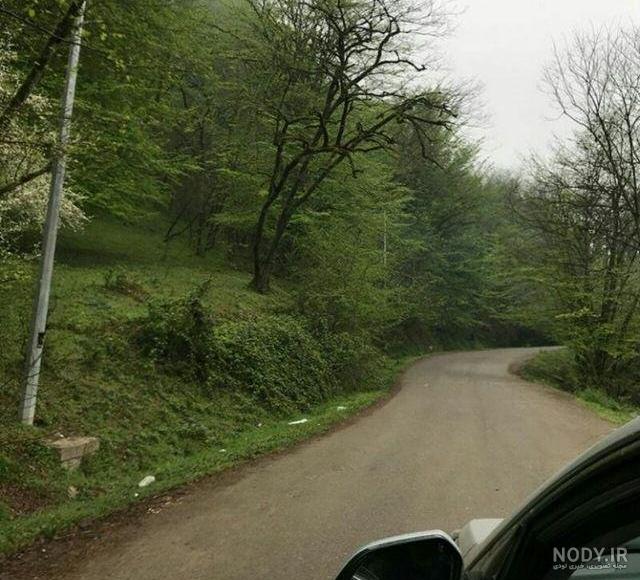 عکس طبیعت بهاری شمال