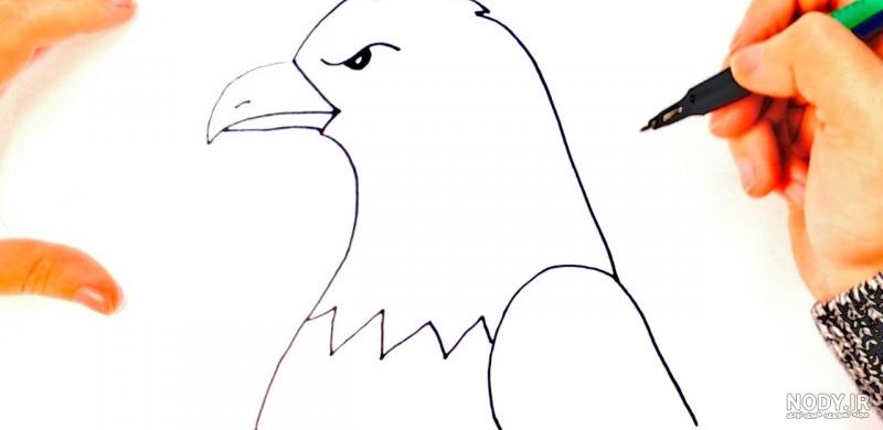 عکس نقاشی ساده عقاب