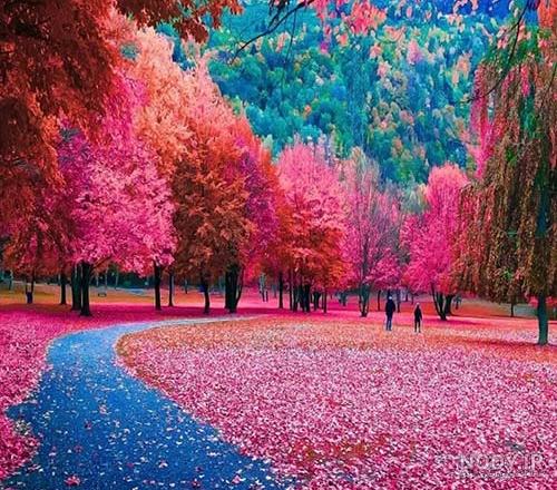 عکس های زیبا از طبیعت برای پروفایل دخترونه