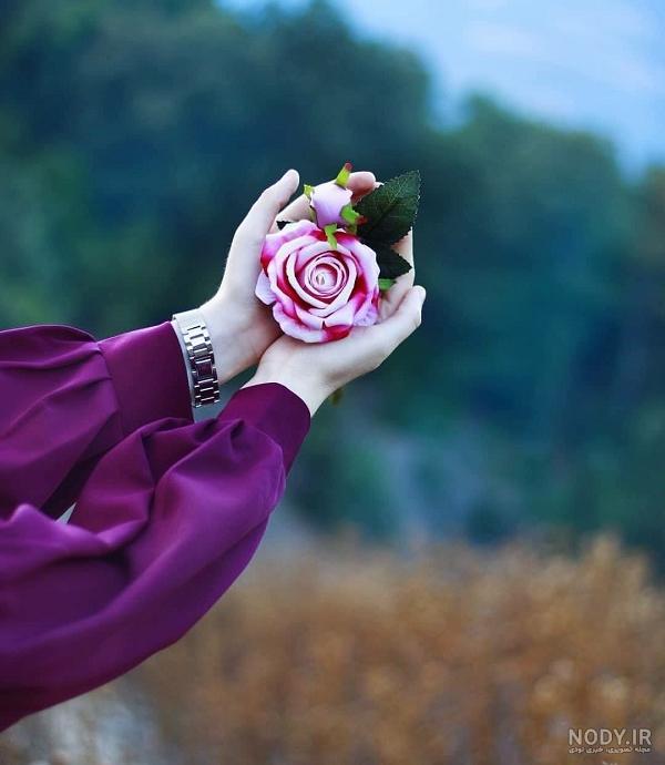 منظره عکس گل برای پروفایل واتساپ