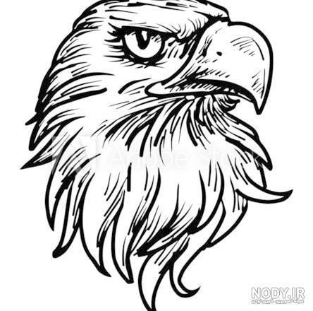نقاشی عقاب سخت