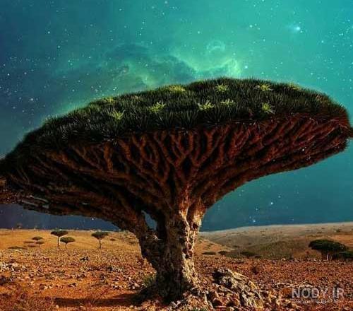 پروفایل زمستانی غمگین