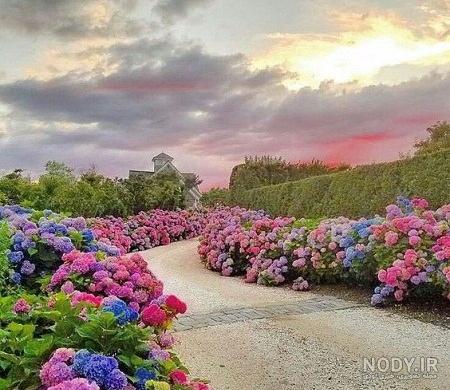 پروفایل طبیعی خاص