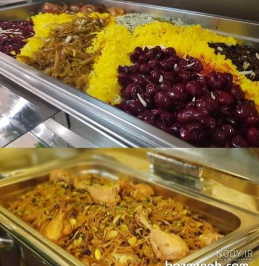 عکس غذای عروس دریایی
