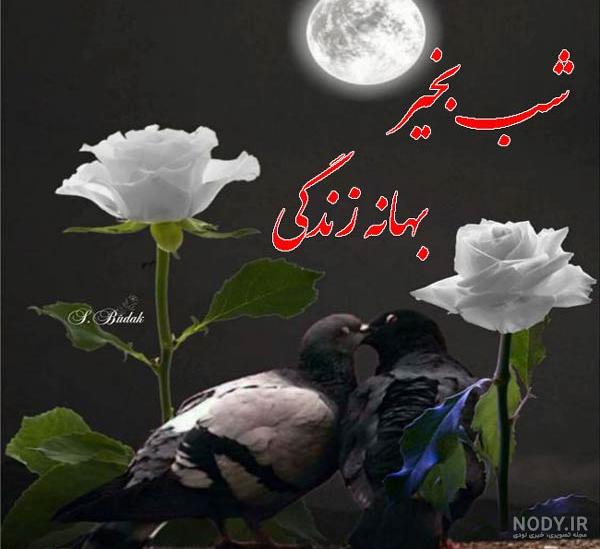 متن شب بخیر دوستانه