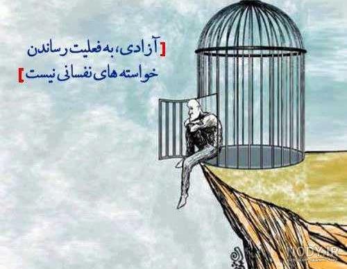  عکس پرنده در حال پرواز از قفس