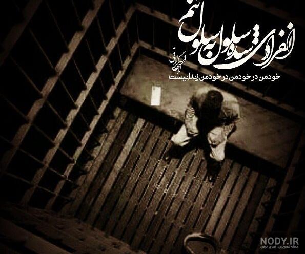  عکس پرنده در حال پرواز از قفس