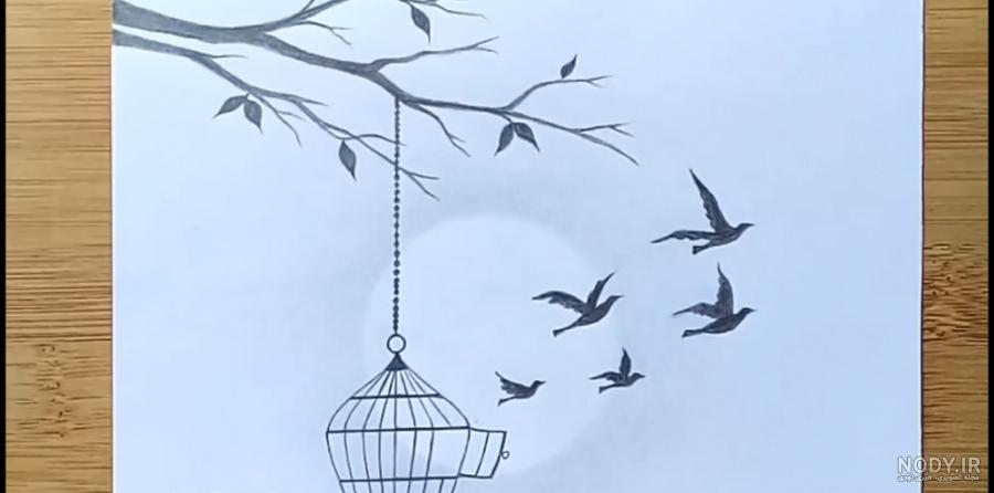  عکس پرنده در حال پرواز از قفس
