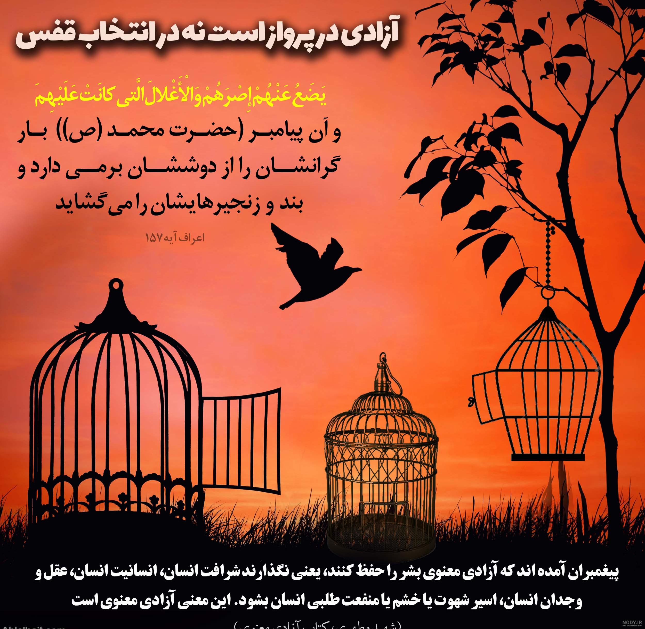  عکس پرنده در حال پرواز از قفس