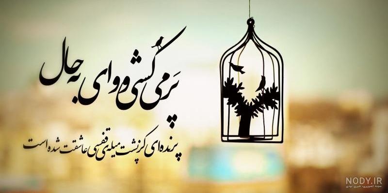  عکس پرنده در حال پرواز از قفس