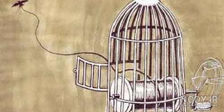  عکس پرنده در حال پرواز از قفس