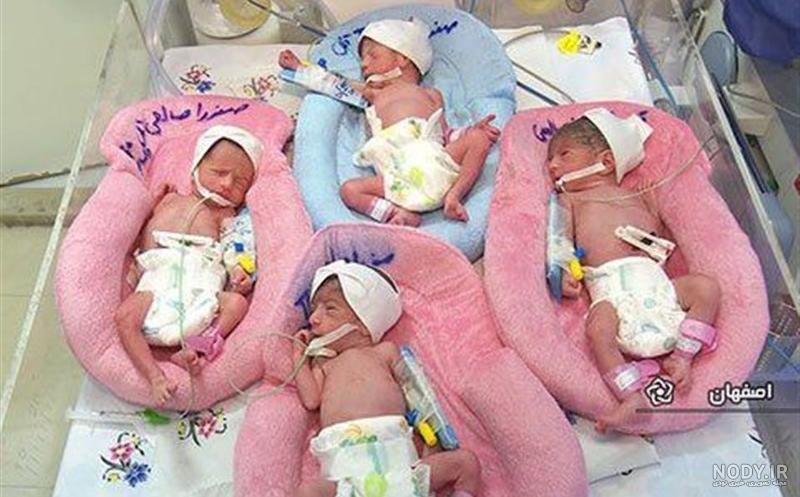 آی وی اف دوقلو پسر آی وی اف دوقلو پسر