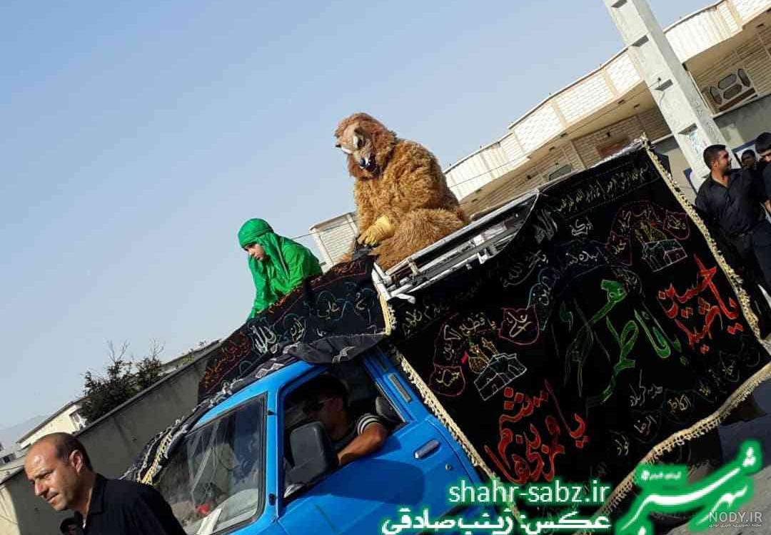 عکس از زینب حسینی عکس از زینب حسینی