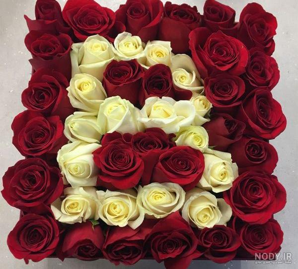 عکس باکس گل رز زرد عکس باکس گل رز زرد