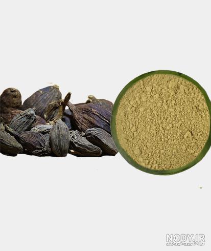 عکس دارویی هلیله سیاه عکس دارویی هلیله سیاه