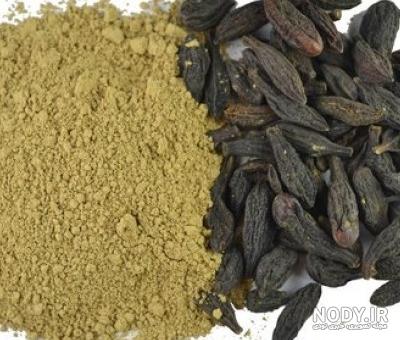 عکس دانه هلیله سیاه عکس دانه هلیله سیاه