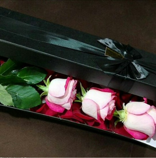 عکس شاخه گل رز برای هدیه عکس شاخه گل رز برای هدیه