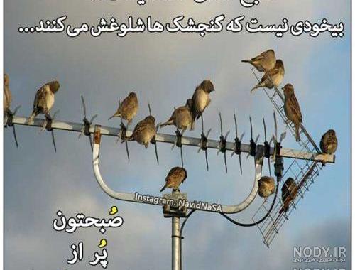 عکس صبح بخیر جدید 99