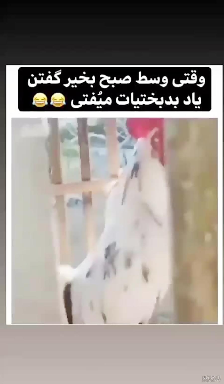 عکس صبح بخیر خنده دار