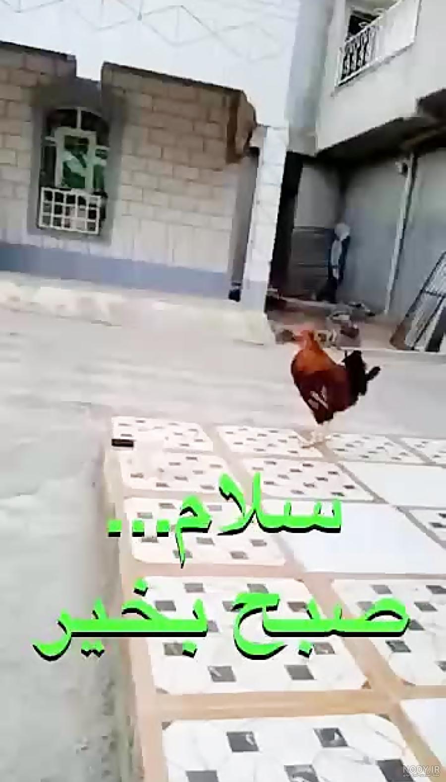 عکس صبح بخیر عزیزم