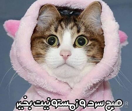 عکس نوشته سلام صبح بخیر رسمی