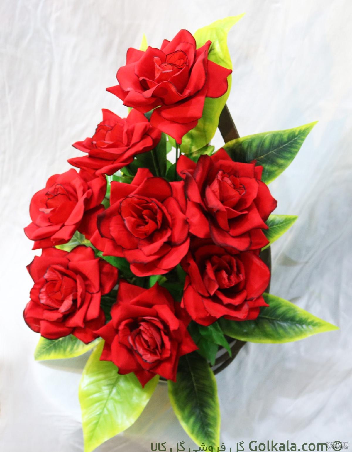 عکس گل رز هدیه دادن عکس گل رز هدیه دادن