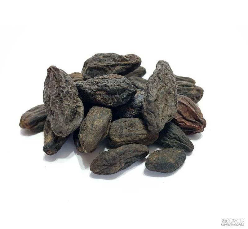 عکس گیاه هلیله سیاه عکس گیاه هلیله سیاه