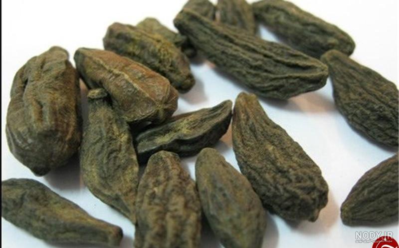 عکسهای هلیله سیاه عکسهای هلیله سیاه