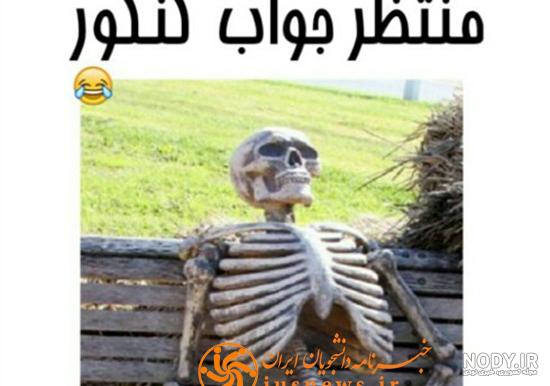 پروفایل کنکوری انسانی