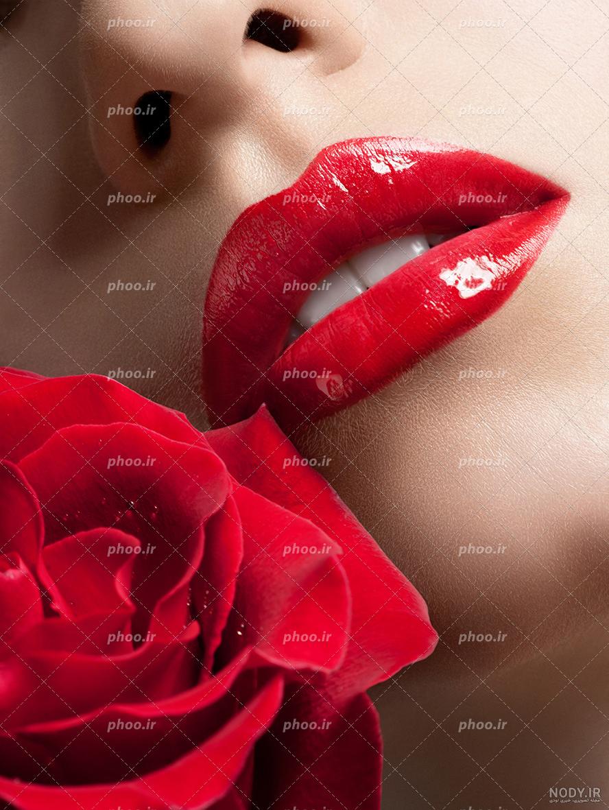 باکس گل رز زرد باکس گل رز زرد