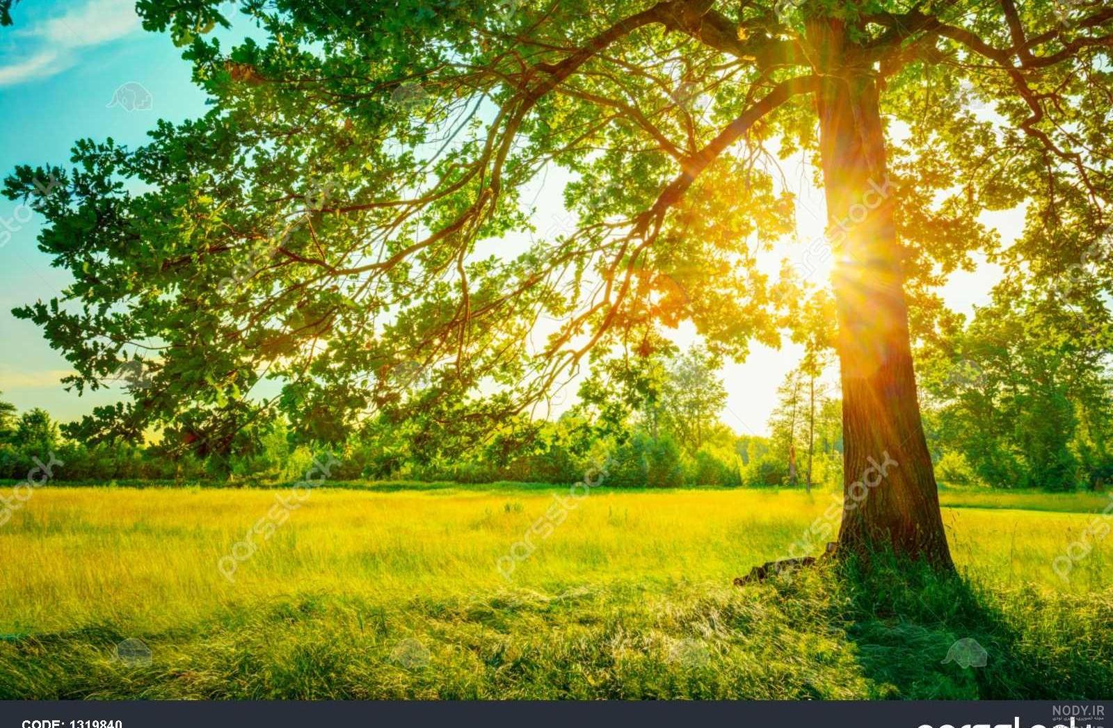 عکس تابستانی دخترانه جدید عکس تابستانی دخترانه جدید
