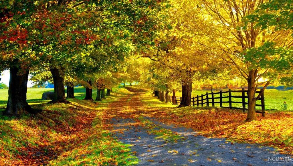 عکس تابستانی طبیعت عکس تابستانی طبیعت
