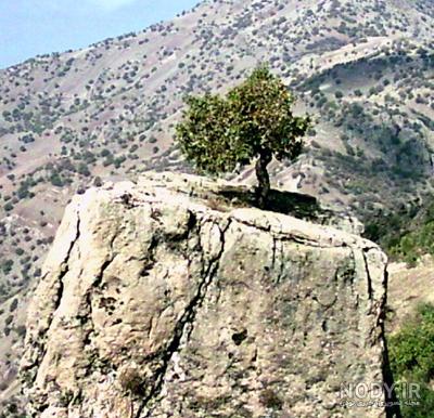 عکس واقعی خدا در آسمان عکس واقعی خدا در آسمان