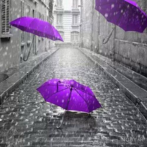 عکس چتر های رنگی