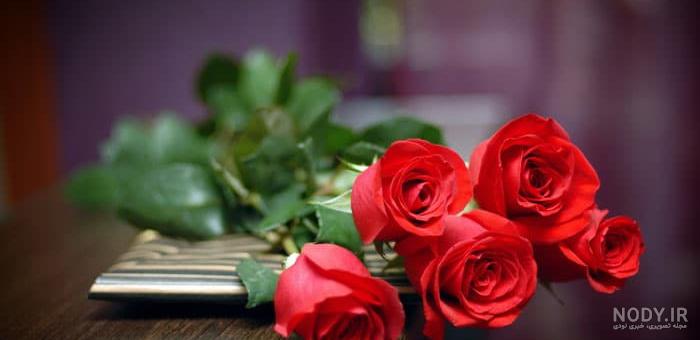 عکس گل نوشته دار عکس گل نوشته دار