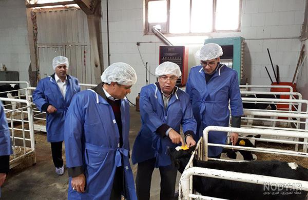 نمایندگی شیرین عسل گرگان نمایندگی شیرین عسل گرگان