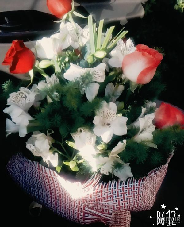عکس دسته گل رز قرمز عکس دسته گل رز قرمز