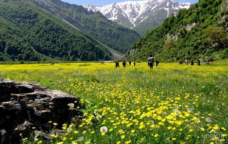 تصاویر بهاری جدید تصاویر بهاری جدید