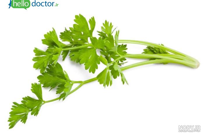 خواص اب کرفس برای ریه خواص اب کرفس برای ریه
