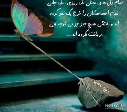 شعر نو درباره پروانه شعر نو درباره پروانه