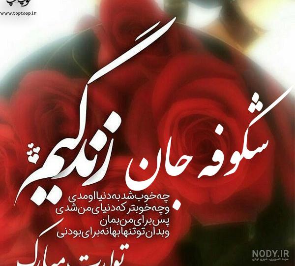 عمه شکوفه تولدت مبارک عمه شکوفه تولدت مبارک